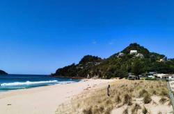 开云体育app-新西兰篮球联赛新冠冠军晋级