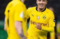 开云体育平台APP-沃尔夫斯堡主帅赞誉年轻球员表现的简单介绍