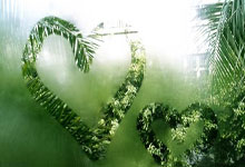 开云平台-日本网球队轻取美国队，阿尔卡拉斯震撼世界——新一轮网球盛宴正在展开