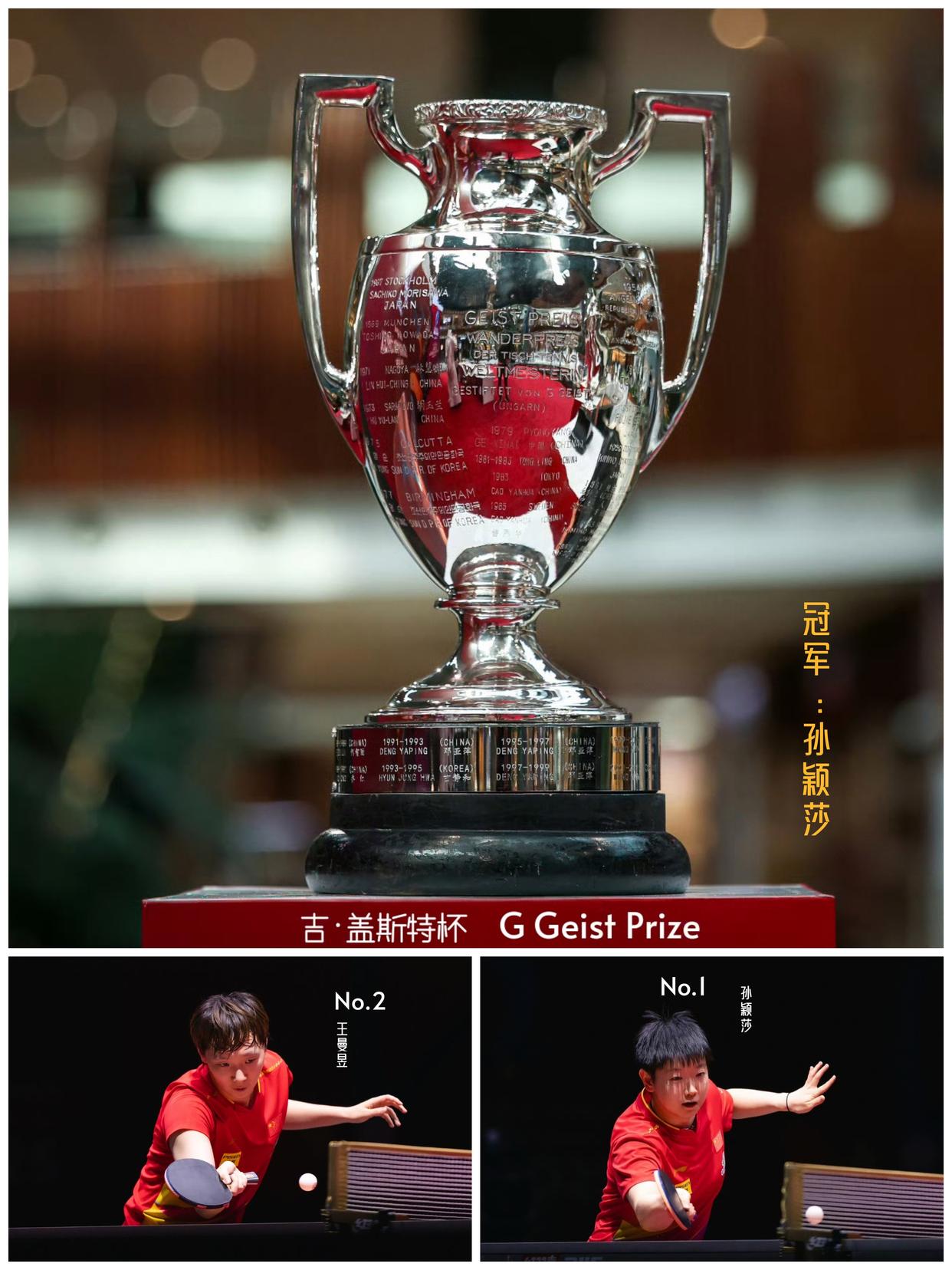 奥地利选手多点发力，斩获宝贵金牌的简单介绍