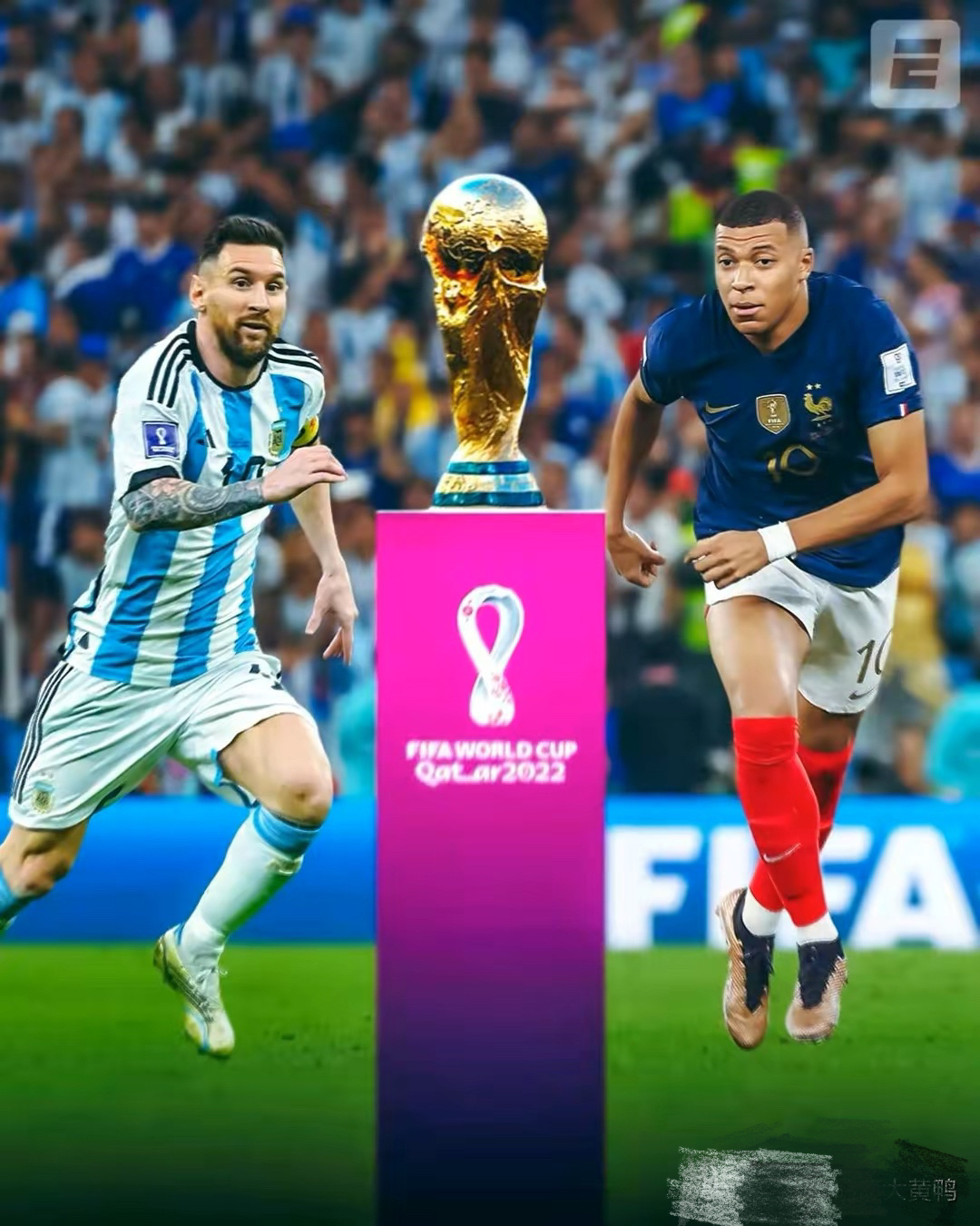 关于法国队轻取韩国队,张本智和刷新纪录的信息 关于法国队轻取韩国队,张本智和刷新纪录的信息